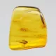 Diptera Insect inclusions in Baltic amber fossil stone