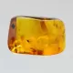 Gnats Insect inclusions in Baltic amber fossil stone