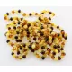 10 Multi BAROQUE Baltic amber adult bracelets 21cm