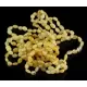 10 Butter BEANS Baltic amber adult bracelets 18cm