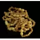 10 Raw BAROQUE Baltic amber teething bracelets 14cm