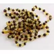 10 Multi BAROQUE Baltic amber adult bracelets 19cm