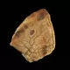 Raw Rough Genuine Baltic amber 10g Stone