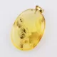 Ant Insect in Carved Amulet Baltic amber fossil pendant