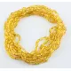 10 Honey BEANS Baltic amber adult wholesale necklaces 45cm