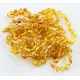 10 Honey BEANS Baltic amber adult bracelets 19cm