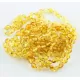 10 Lemon BEANS Baltic amber adult bracelets 19cm