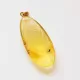 Disptera Insect in Carved Amulet Baltic amber fossil pendant