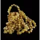 10 Butter BAROQUE Baltic amber teething bracelets 14cm
