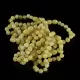 10 Butter BAROQUE Baltic amber teething bracelets 14cm