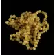 10 Butter BAROQUE Baltic amber teething bracelets 14cm