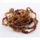 10 Raw Cognac BEANS Baltic amber adult bracelets 18cm