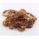 10 Raw Cognac BEANS Baltic amber adult bracelets 18cm
