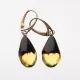 Faceted drops Baltic amber Silver Earrings