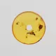 Donut shape Baltic amber pendant medallion