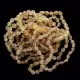 10 Raw BEANS Baltic amber adult bracelets 18cm