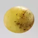 Large Donut shape Baltic amber pendant medallion