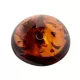 Large Donut shape Baltic amber pendant medallion