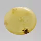 Large Donut shape Baltic amber pendant medallion