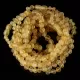 10 Raw Lemon BAROQUE Baltic Amber Bracelet 21cm