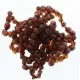 10 Raw Ruby BAROQUE Baltic amber teething bracelets 14cm