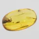 Insect inclusions in Baltic amber fossil big stone