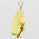 Insect inclusions in Baltic amber fossil big stone