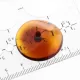 Donut shape Baltic amber pendant medallion