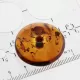 Donut shape Baltic amber pendant medallion