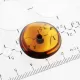 Donut shape Baltic amber pendant medallion