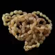 10 Raw Butter BEANS Baltic amber teething Baby bracelets 14cm