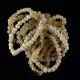 10 Butter BAROQUE Baltic amber adult stretcy bracelets 19cm
