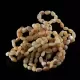 10 Raw Butter BEANS Baltic amber teething Baby bracelets 14cm