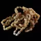 10 Raw Butter BEANS Baltic amber teething Baby bracelets 14cm