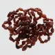 9 Raw Ruby BEANS Baltic amber teething bracelets 14cm