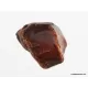33g Raw Rough Genuine Baltic amber Stone