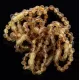 10 Raw Green BAROQUE Baltic amber teething bracelets 14cm
