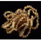 10 Raw Green BAROQUE Baltic amber teething bracelets 14cm