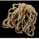 10 Raw Butter Baltic Amber Anklets 25cm