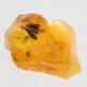 Moth Insect Inclusions in Baltic amber fossil stone