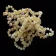 10 Milky BAROQUE Baltic amber teething bracelets 14cm
