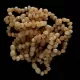10 Butter BAROQUE Baltic amber teething bracelets 14cm