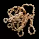 9 Raw Butter BEANS Baltic amber teething Baby bracelets 14cm