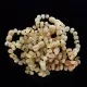 10 Raw Butter BAROQUE Baltic amber teething bracelets 14cm