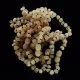 10 Raw Butter BAROQUE Baltic amber teething bracelets 14cm