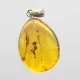 Baltic amber silver pendant w insect inclusion