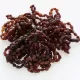 40 Raw Ruby BEANS Baltic amber teething bracelets 14cm