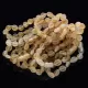 10 Raw Honey BEANS Baltic amber adult bracelets 19cm