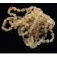 10 Raw Honey BEANS Baltic amber adult bracelets 19cm