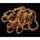 10 Raw Honey BEANS Baltic amber adult bracelets 19cm